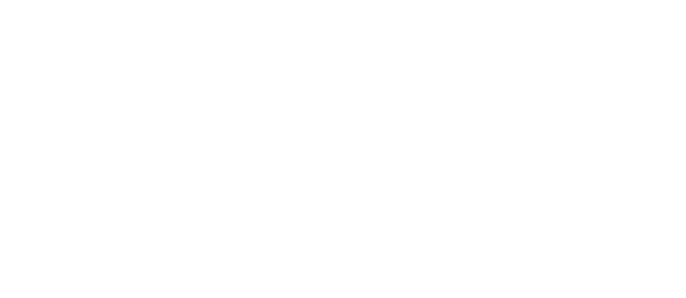Loyal Insurance